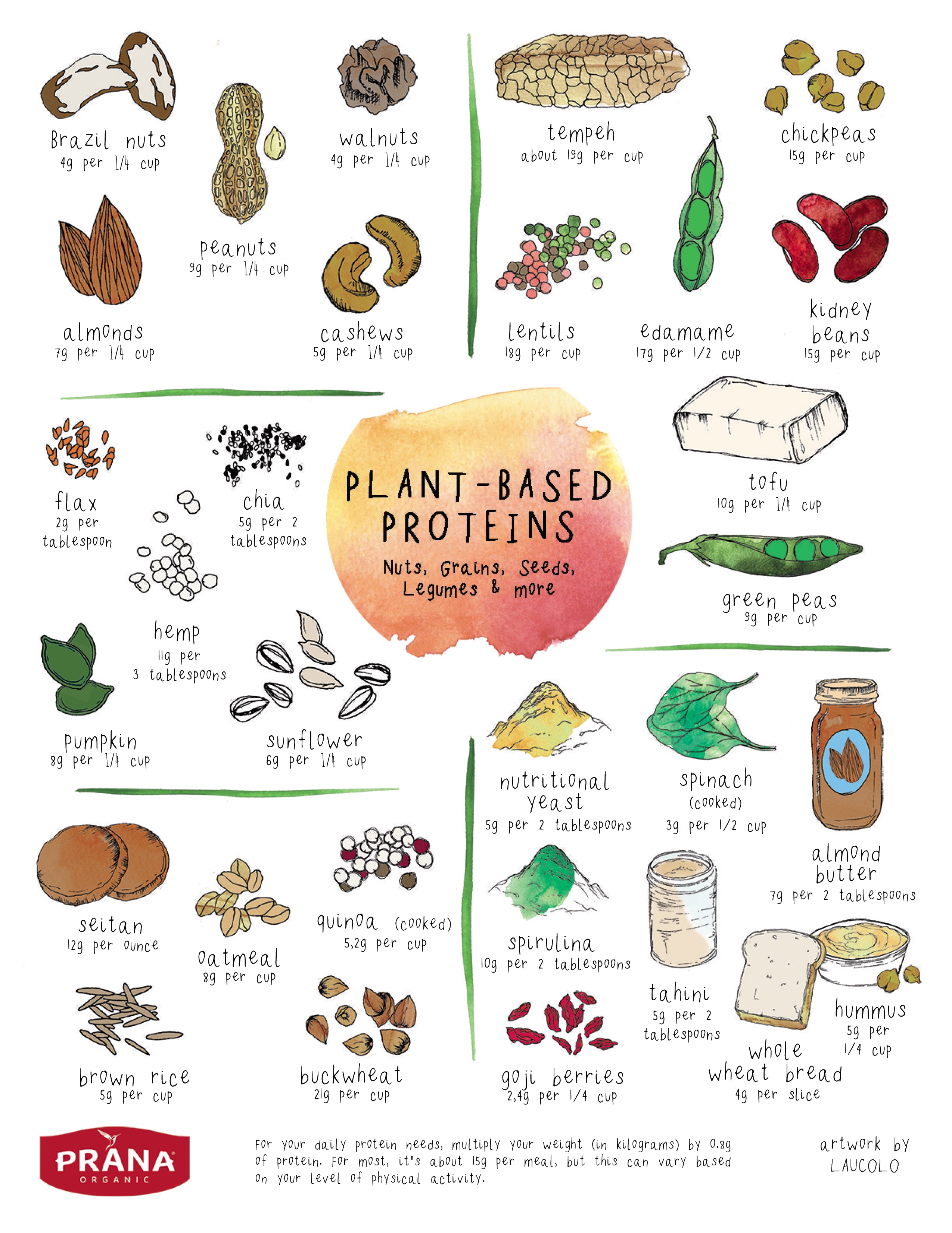 Plant Protein Chart